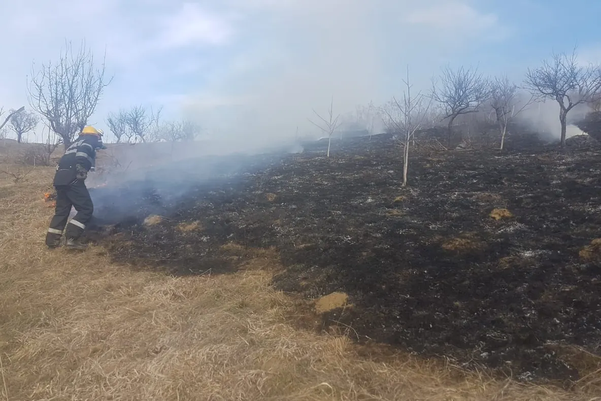 71 de incedii de miriști într-o lună, în județul Botoșani