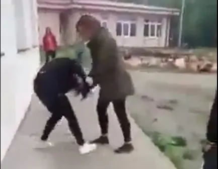 Anchetă demarată de IPJ Botoșani după ce două eleve s-au bătut la școala din Albești
