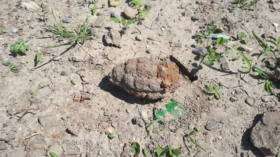 Grenadă găsită într-o grădină din Dorohoi