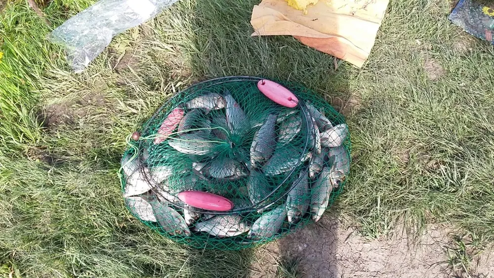 Pescari amendați de jandarmi