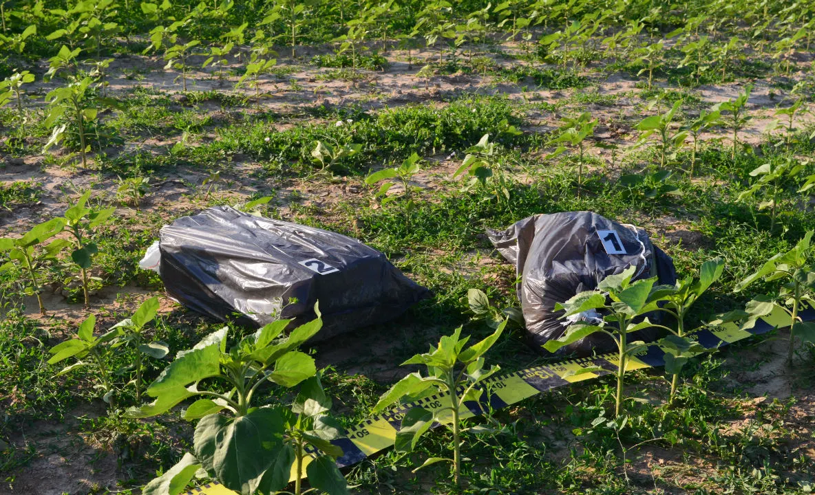 Ţigări de contrabandă transportate cu drona FOTO