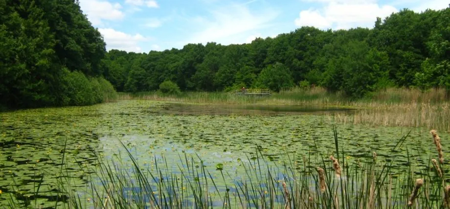 Lacul din comuna Mihai Eminescu ar putea fi iluminat