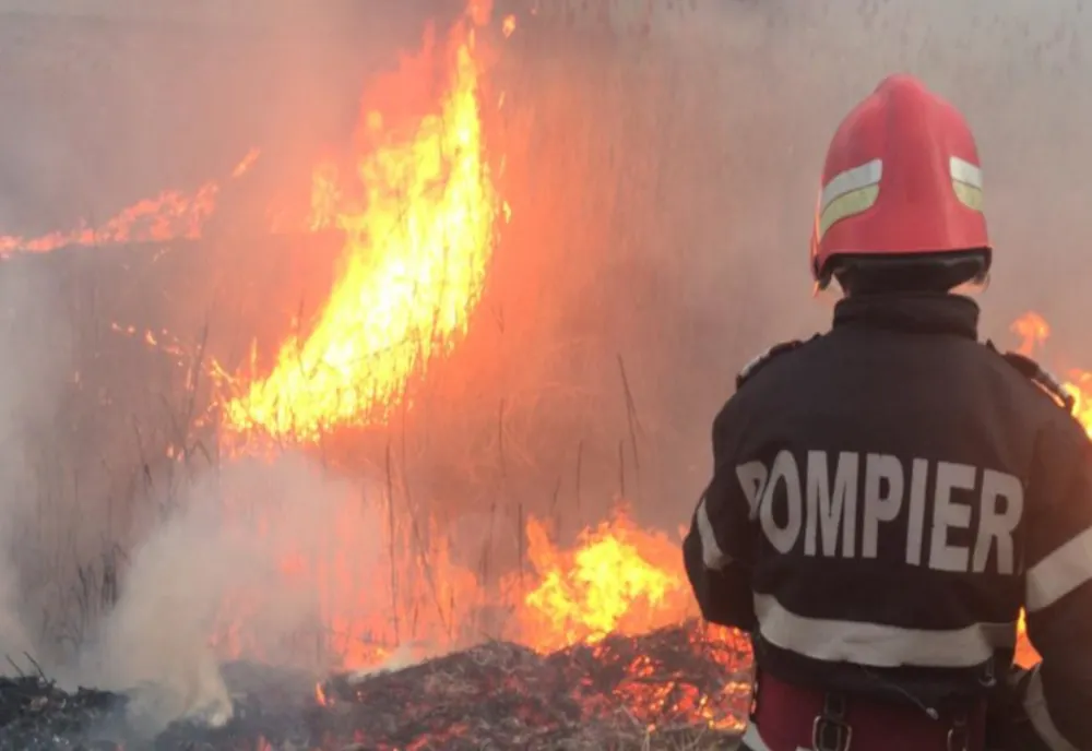 15 tone de furaje distruse într-un incendiu, la Vorniceni