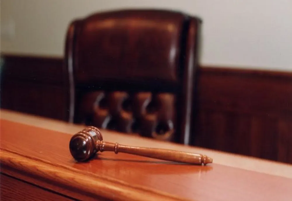Bărbații care au furat, distrus și omorânt doi pui de pisică, sub control judiciar