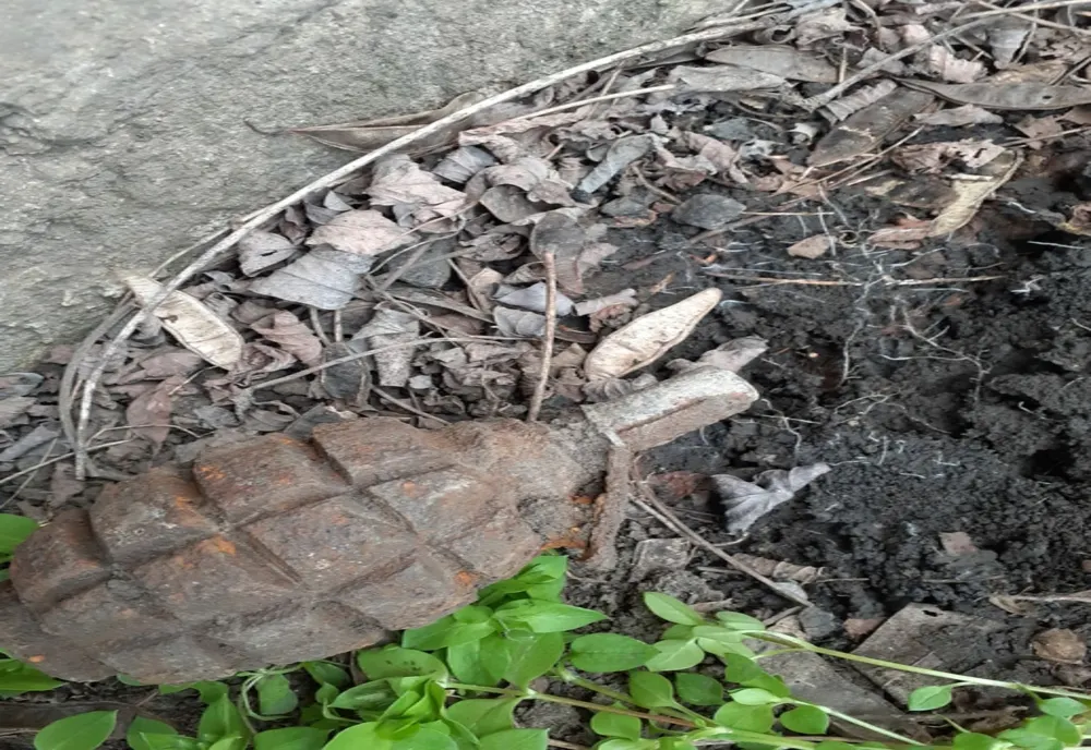 Grenadă descoperită în grădina unui localnic din Cucuteni