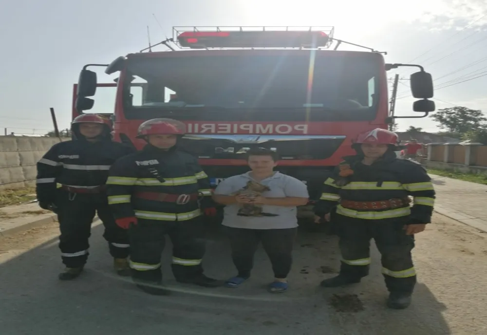 Povestea cu final fericit a unui cățel salvat dintr-un canal