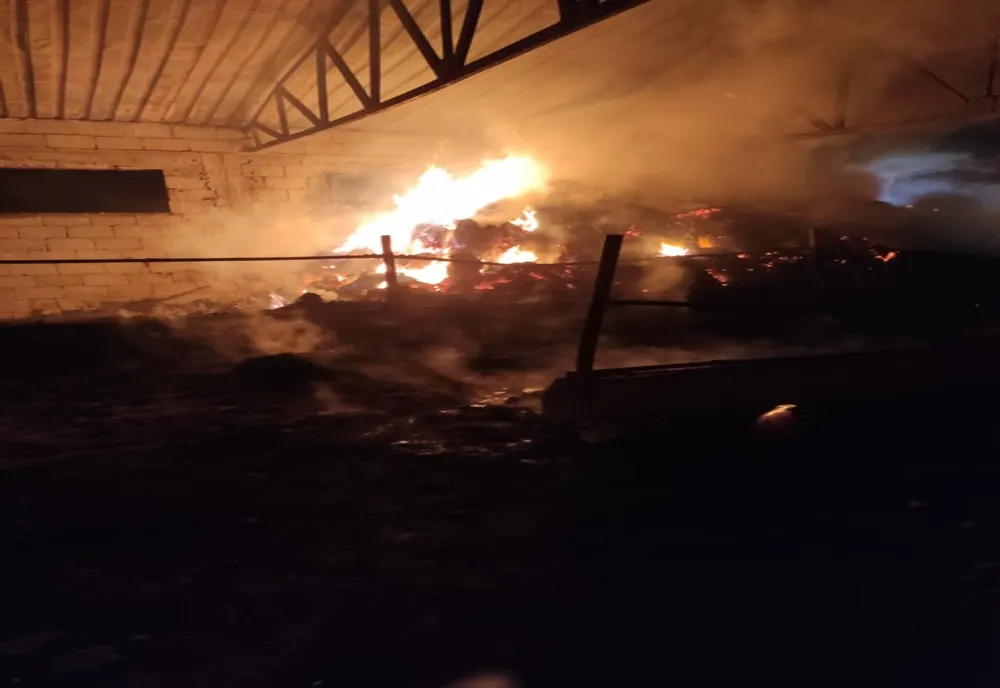 Incendiu stins după 6 ore. Zeci de rațe și iepuri au pierit în flăcări