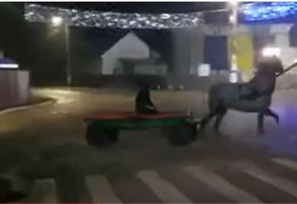 Drifturi cu căruța în centrul orașului VIDEO
