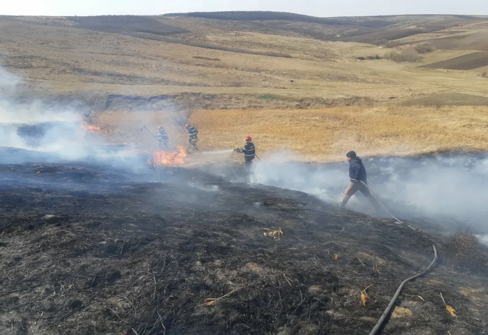 STOP INCENDIILOR DE VEGETAȚIE USCATĂ!