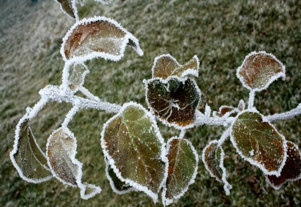 VREMEA 20 MARTIE. TEMPERATURI ÎN CREȘTERE ÎN APROAPE TOATĂ ȚARA