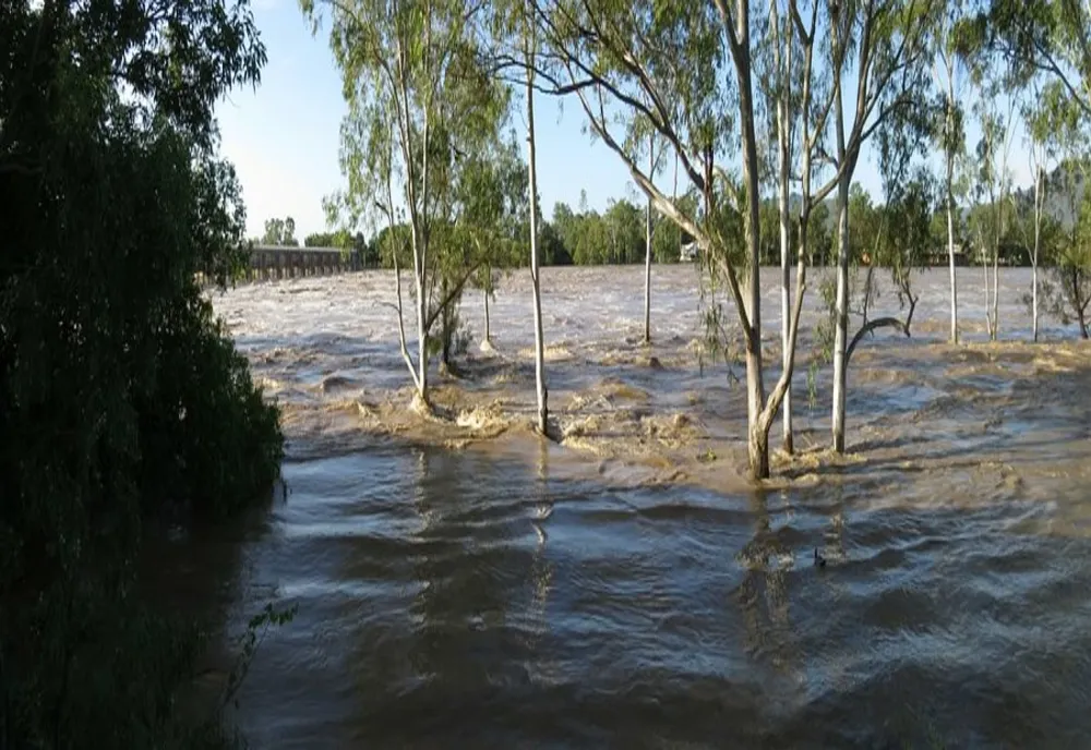 AVERTIZĂRI HIDROLOGICE ȘI METEOROLOGICE: CODURI ROȘII ȘI PORTOCALII PENTRU JUDEȚELE DIN MOLDOVA, BANAT ȘI DOBROGEA