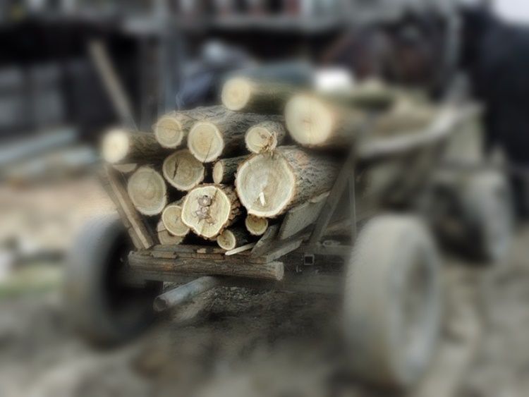 Bărbat din Rădăuți Prut, lăsat fără lemnele de foc