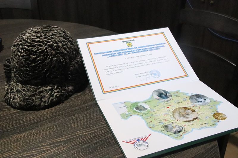 Cercetătorii Stațiunii Popăuți au realizat a patra varietate de culoare la rasa Karakul