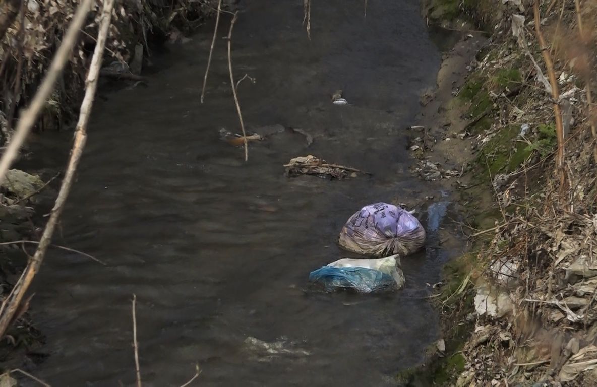 Râurile și pârâurile din municipiul Botoșani sunt pline de deșeuri: "Voi trimite și Poliția Locală…" FOTO