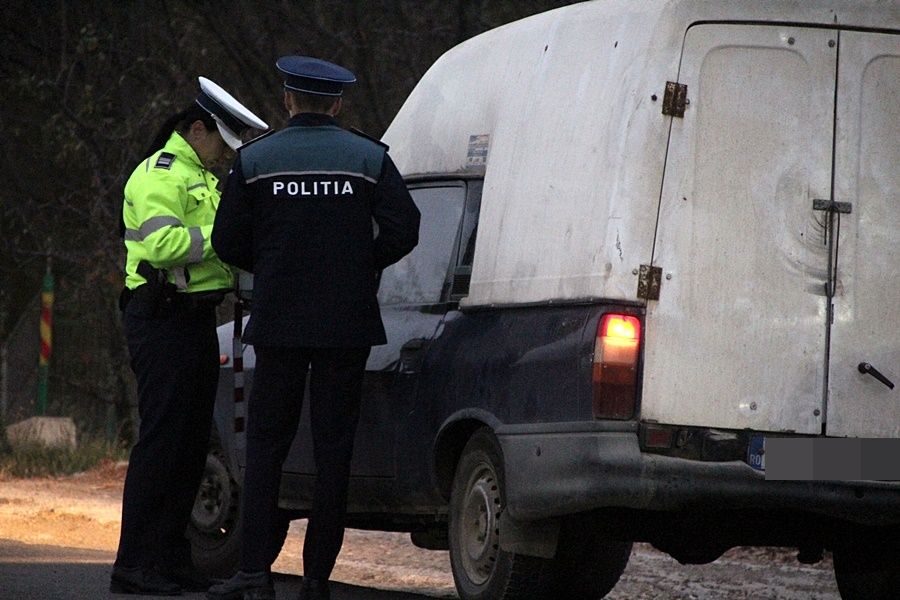 Botoșănean amendat cu 1500 lei după ce a fost prins cu doi porci în mașină