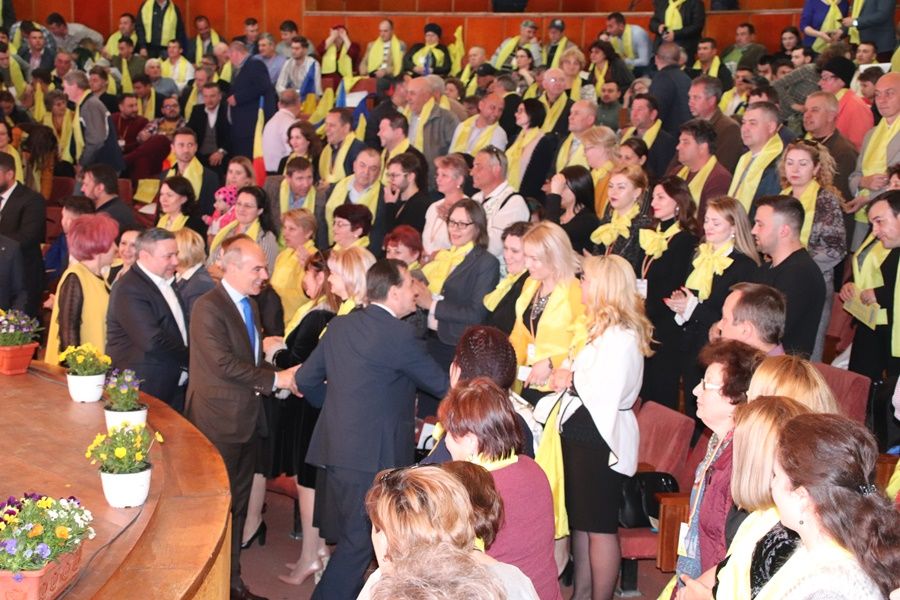 Demisii în PNL Botoșani