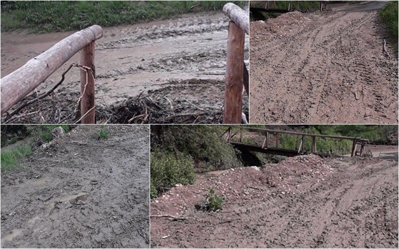 VIDEO. Mai mulți copii din Tudora nu pot ajunge de două zile la școală. Dăncilă: Am scos țara din noroaie