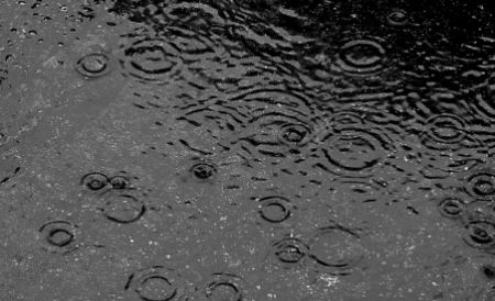 Cod Portocaliu de ploi