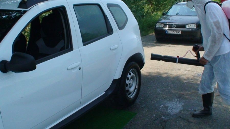 Încă patru porci cu suspiciune de pestă, la Rădăuți Prut