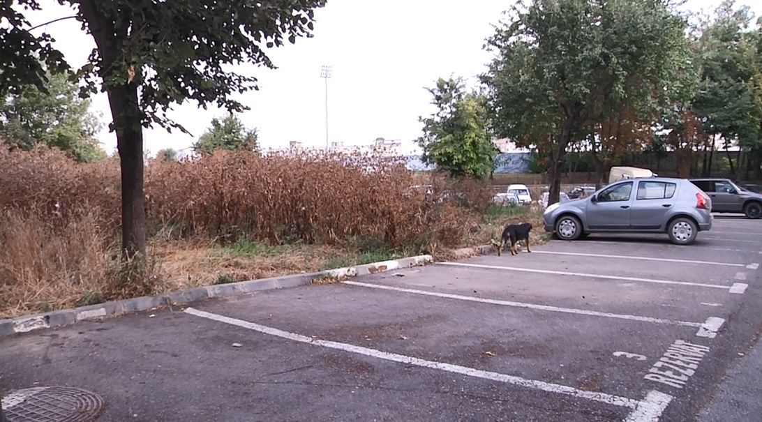 Primăria Botoșani va intra în proprietatea unui teren lângă Stadionul Municipal