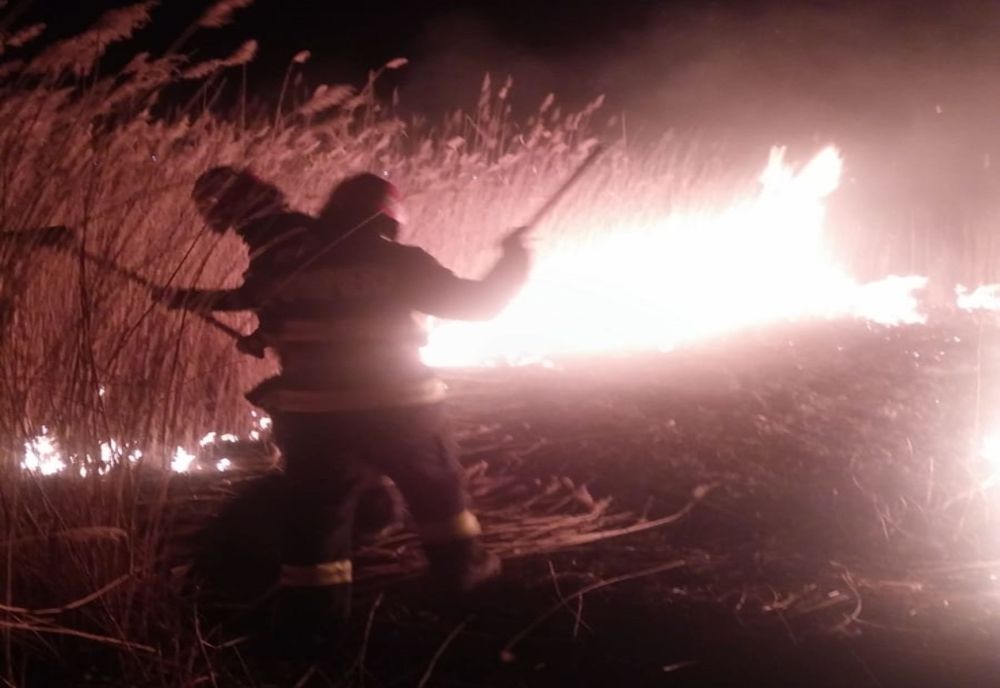 Incendiu de vegetație în comuna Stăuceni FOTO