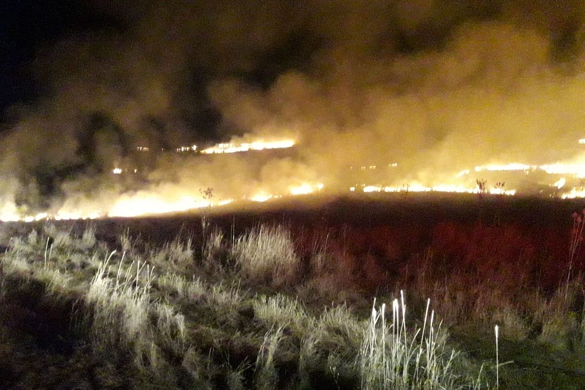 35 de pompieri s-au luptat cu flăcările mai bine de trei ore