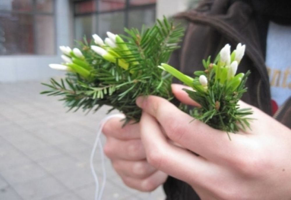 Polițiștii locali s-au apucat să amendeze vânzatorii de ghiocei