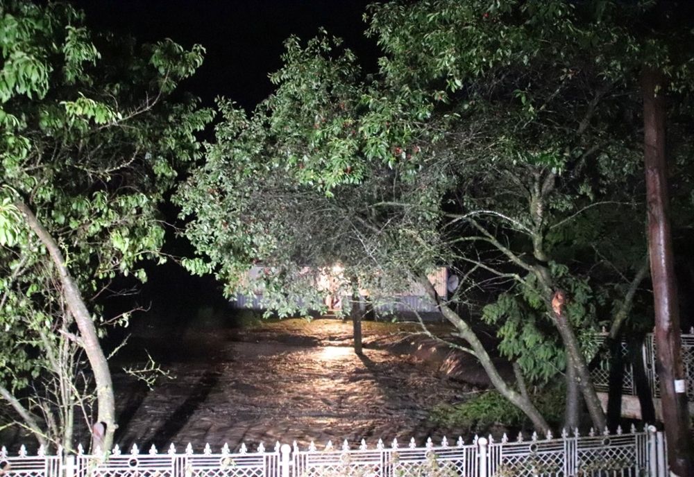 Case inundate, animale luate de apă și drum național blocat FOTO&amp;VIDEO