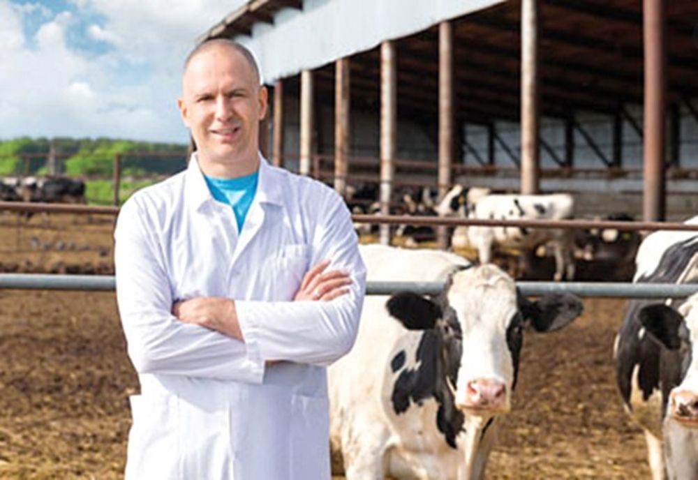 Guvernul a aprobat legislația pentru ca medicii veterinari să încaseze 10.000 lei pe lună