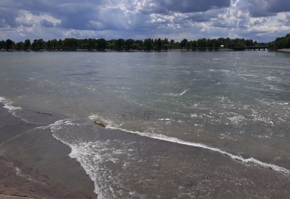 Plase monofilament îndepărtate din râul Prut de polițiștii de frontieră botoşăneni