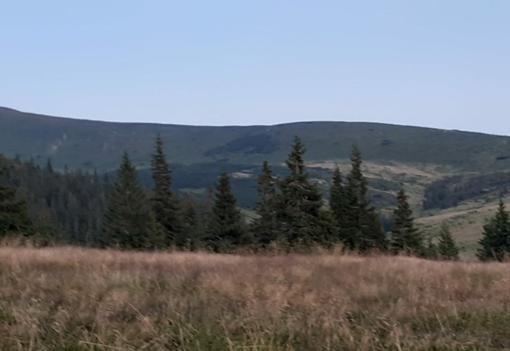 Deputat UDMR: ”Avem nevoie de înfiinţarea unui brand al Munţilor Carpaţi”