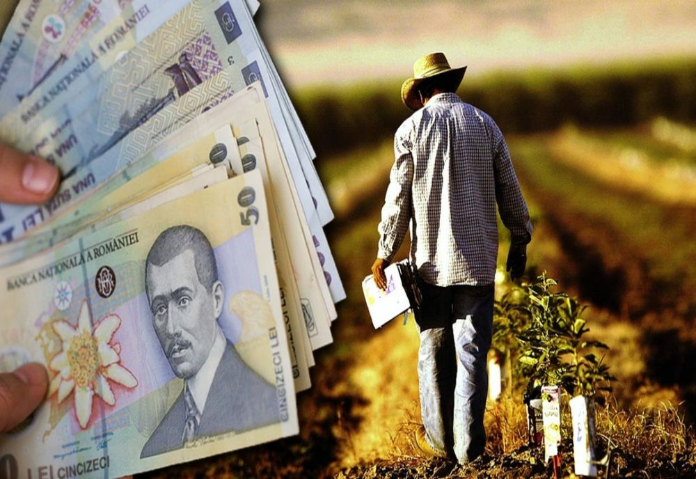 54,63% din numărul fermierilor care au depus Cerere unică de plată în Campania 2021 și au fost declarați eligibili.