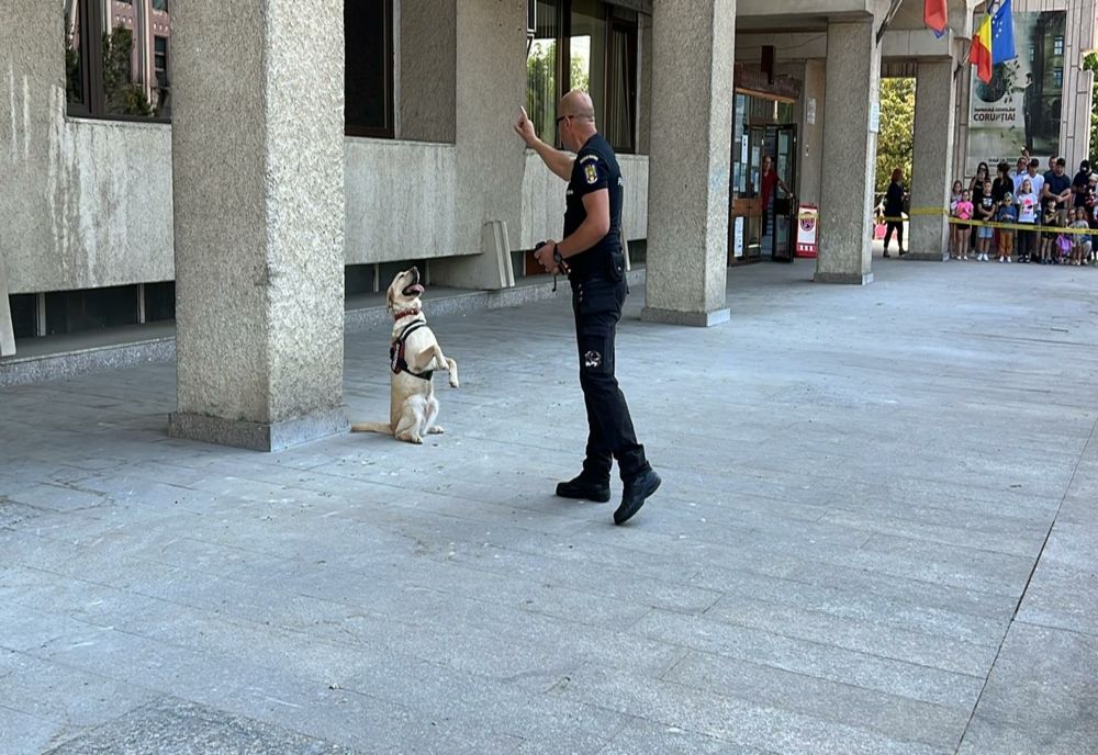 Tazada, cățelușa vedetă a Poliţiei de Frontieră Botoşani