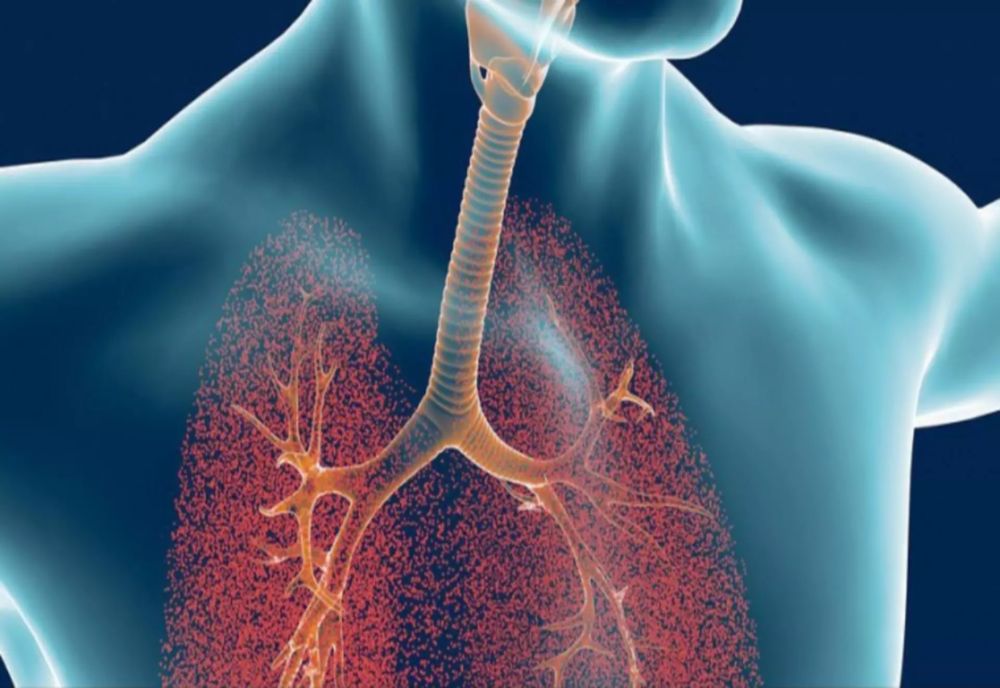 Leguma pe care toți FUMĂTORII ar trebui s-o mănânce de două ori pe săptămână