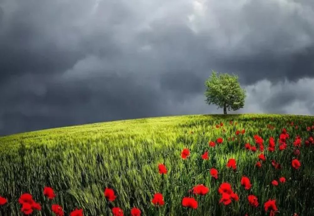 Prognoza meteo 8 iulie. România, împărțită între vijeli și caniculă - maxime de 32 de grade