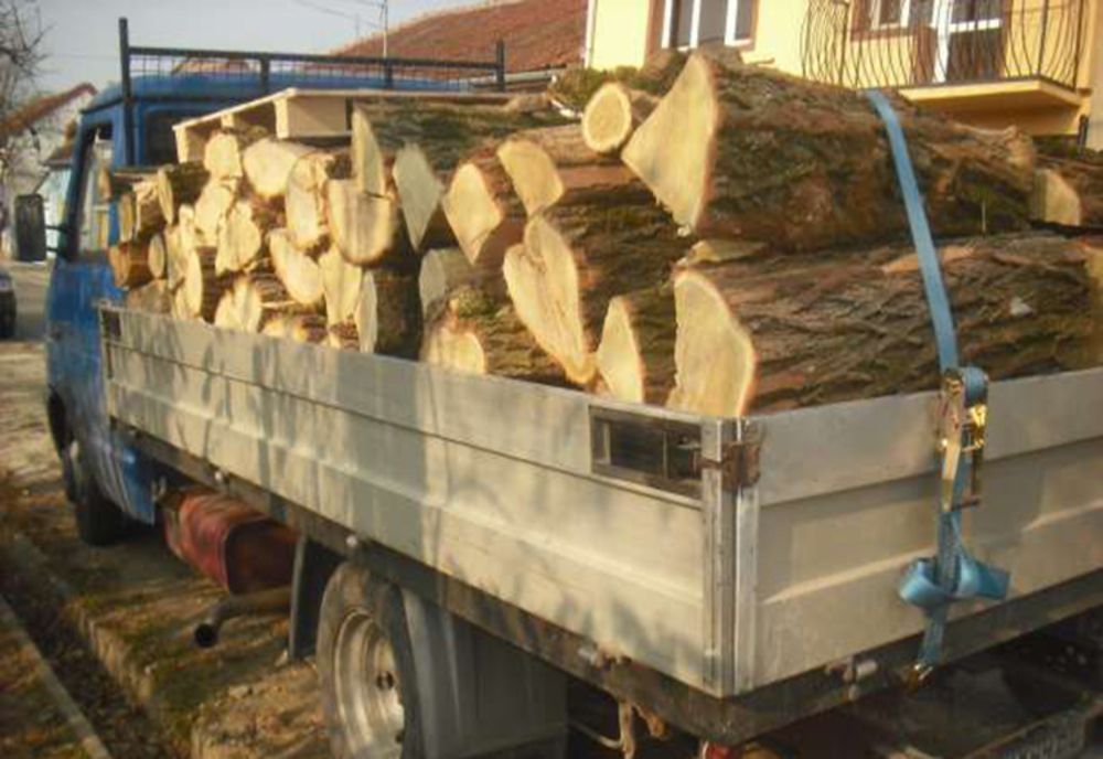 Peste 6 metri cubi de material lemnos confiscat