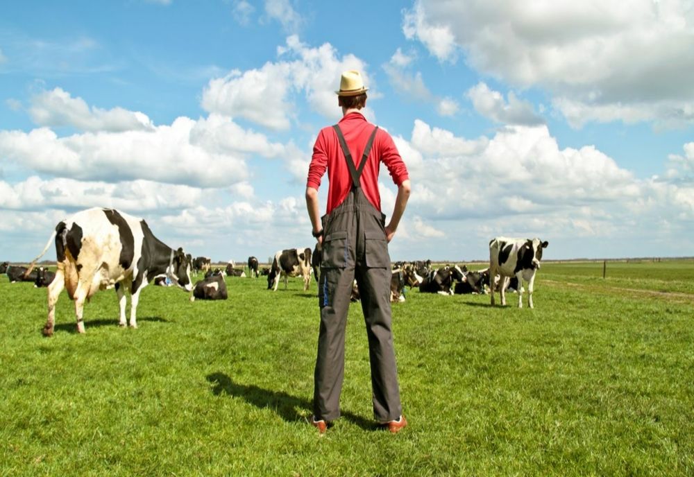 Sprijin pentru fermierii a căror activitate are impact redus asupra mediului! MADR a publicat condițiile