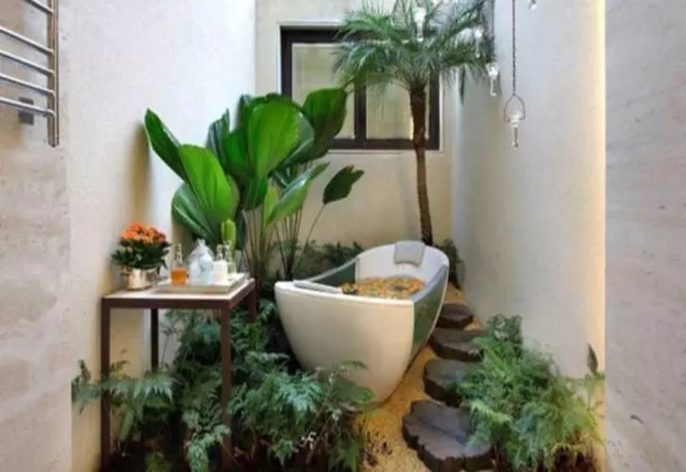 Planta pe care toți oamenii bogați o țin mereu în baie. Atrage banii ca un magnet