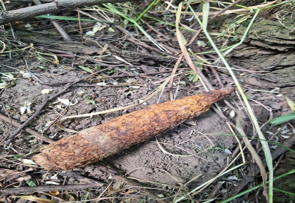 Descoperire periculoasă pe marginea unui drum din Botoșani