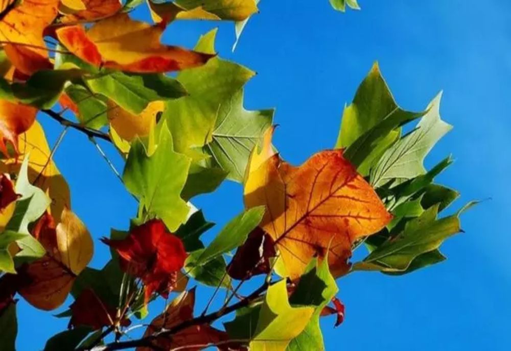 Prognoza meteo pe o lună: Septembrie cu vreme capricioasă