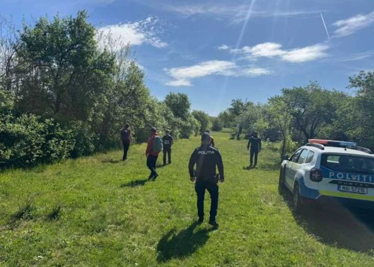 Miracol în Botoșani: o femeie de 94 de ani a supraviețuit trei zile în pădure. Rolul incredibil al câinilor