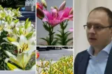 Primarul Botoșaniului, Cosmin Andrei, intenționează să candideze pentru șefia organizației municipale a PSD
