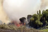 BOTOȘANI: Aproape 80 de tone de furaje, mistuite de un incendiu provocat voluntar