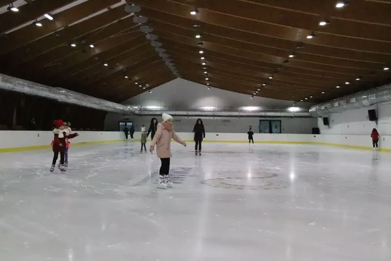 patinoar cornisa (6)