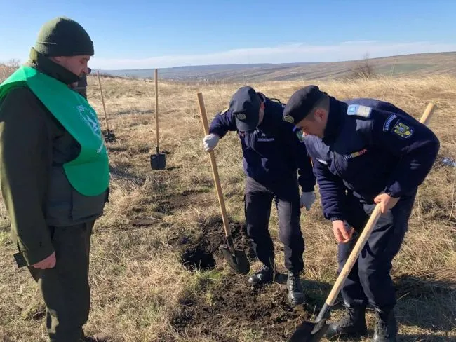 3-jandarmii-si-padurarii-au-plantat-copaci-impreuna-fotovideo