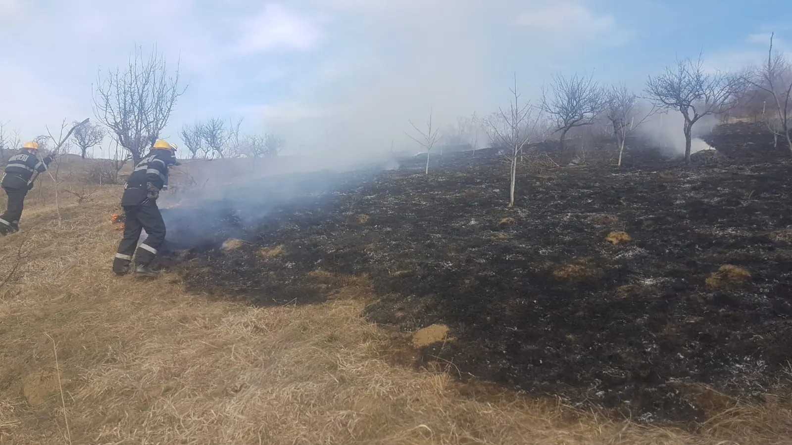incendiu vegetatie (2)