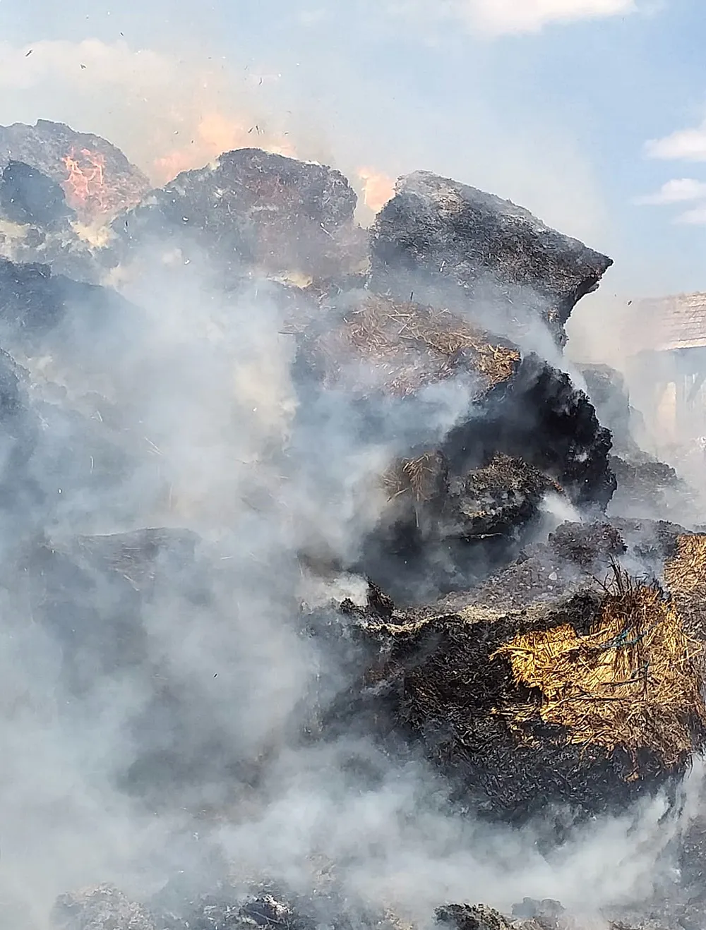incendiu crasnaleuca (11)