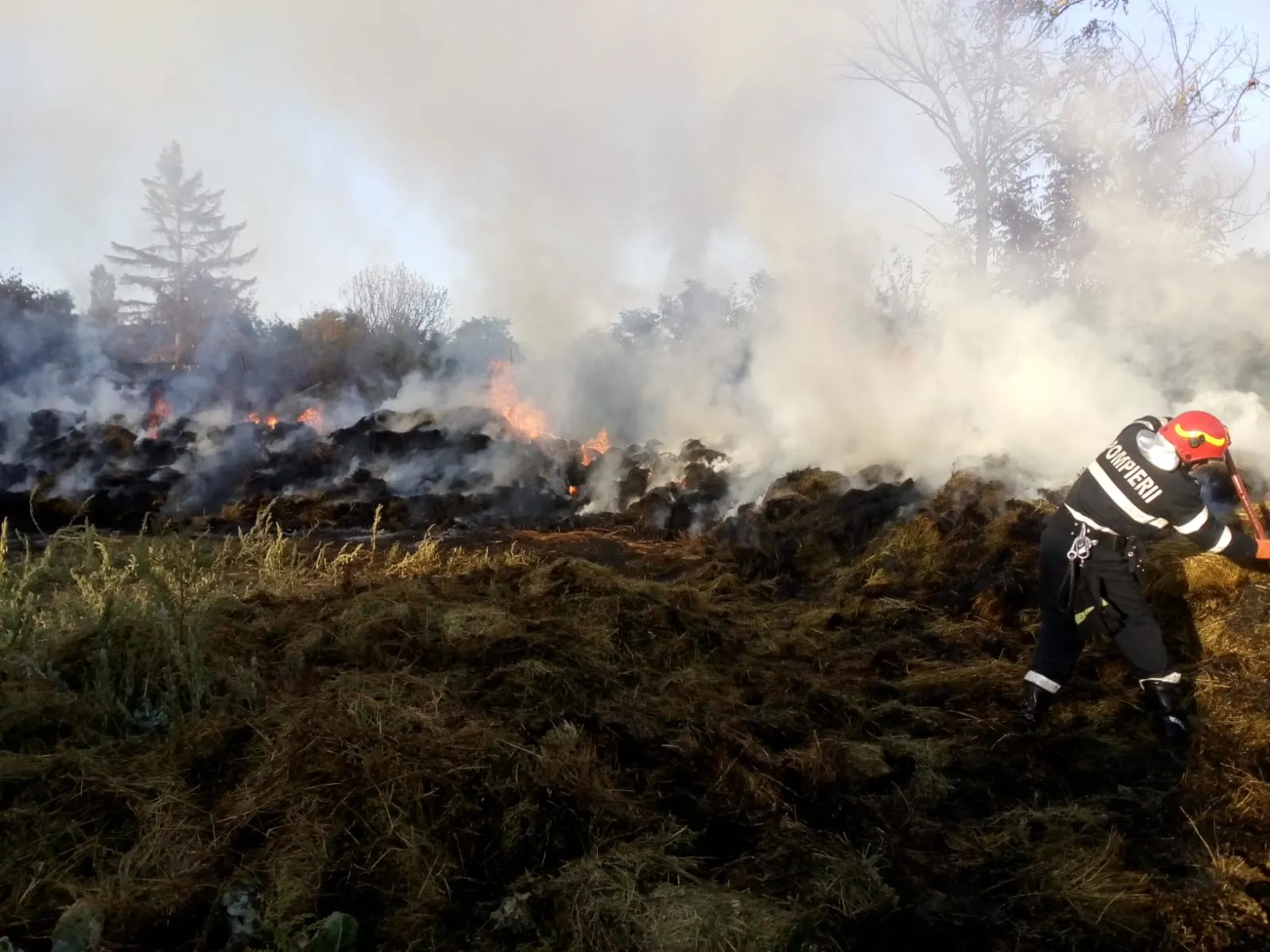 incendiu furaje1