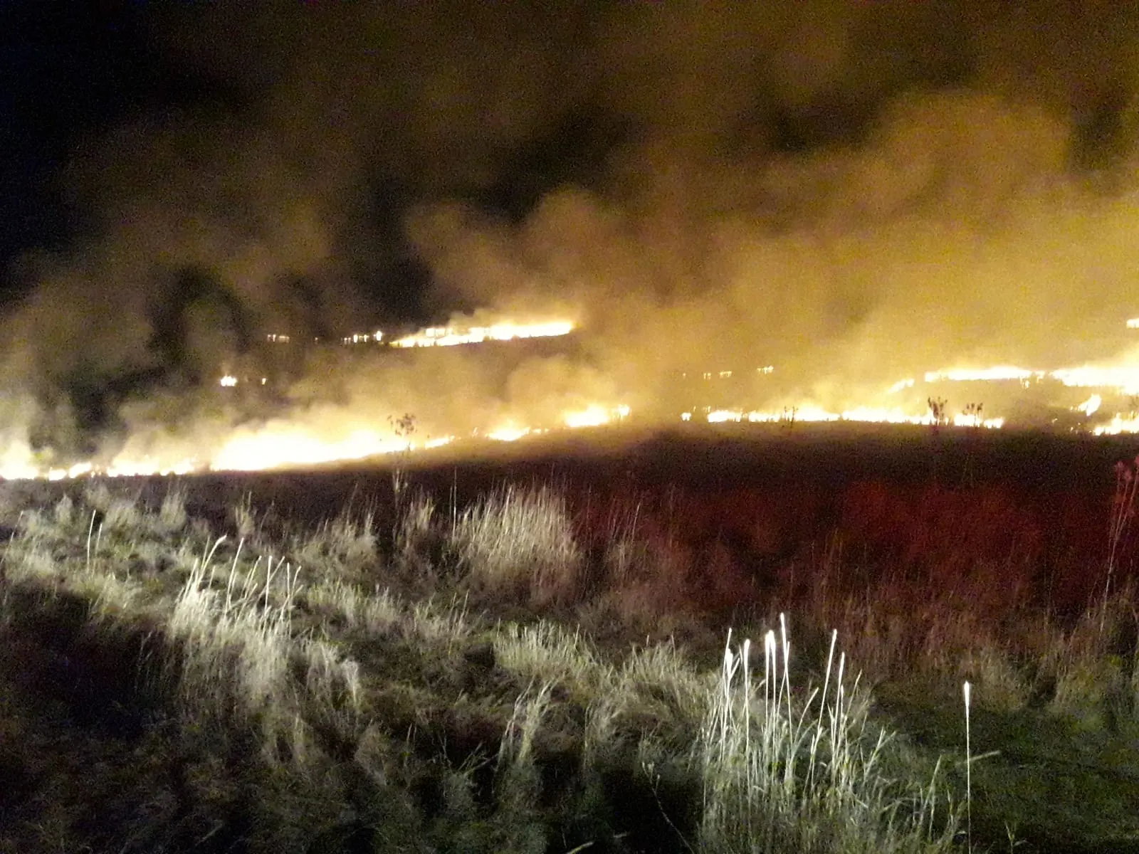 incendiu saveni