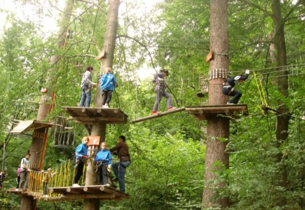 Parc de agrement în valoare de 3 milioane de euro: skatepark, tiroliana, paintball, tir, escaladă